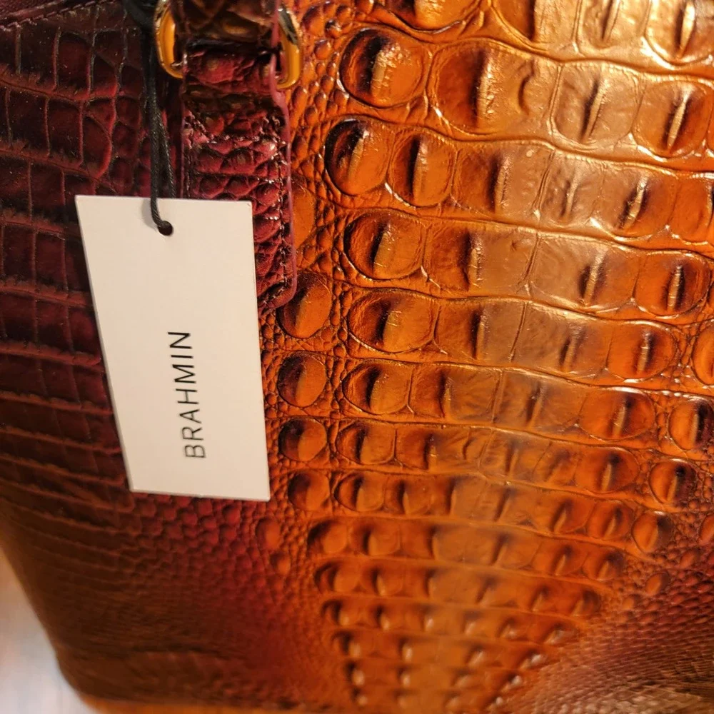Brahmin nwt large
